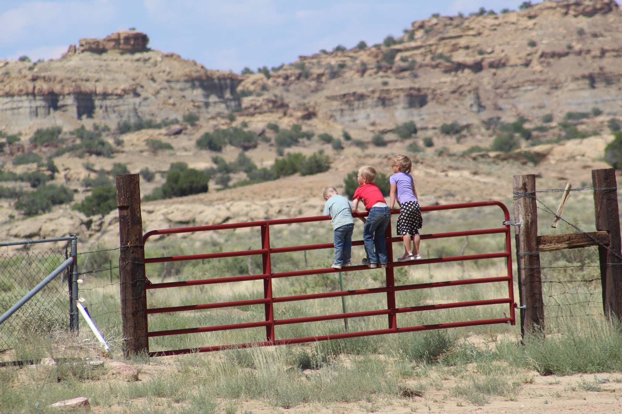 482213396_969355005332132_8692633416868970318_n